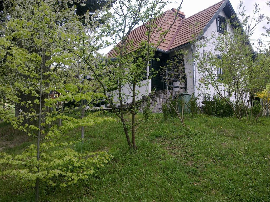 Villa Casa Gabriela Sinaia Zimmer foto