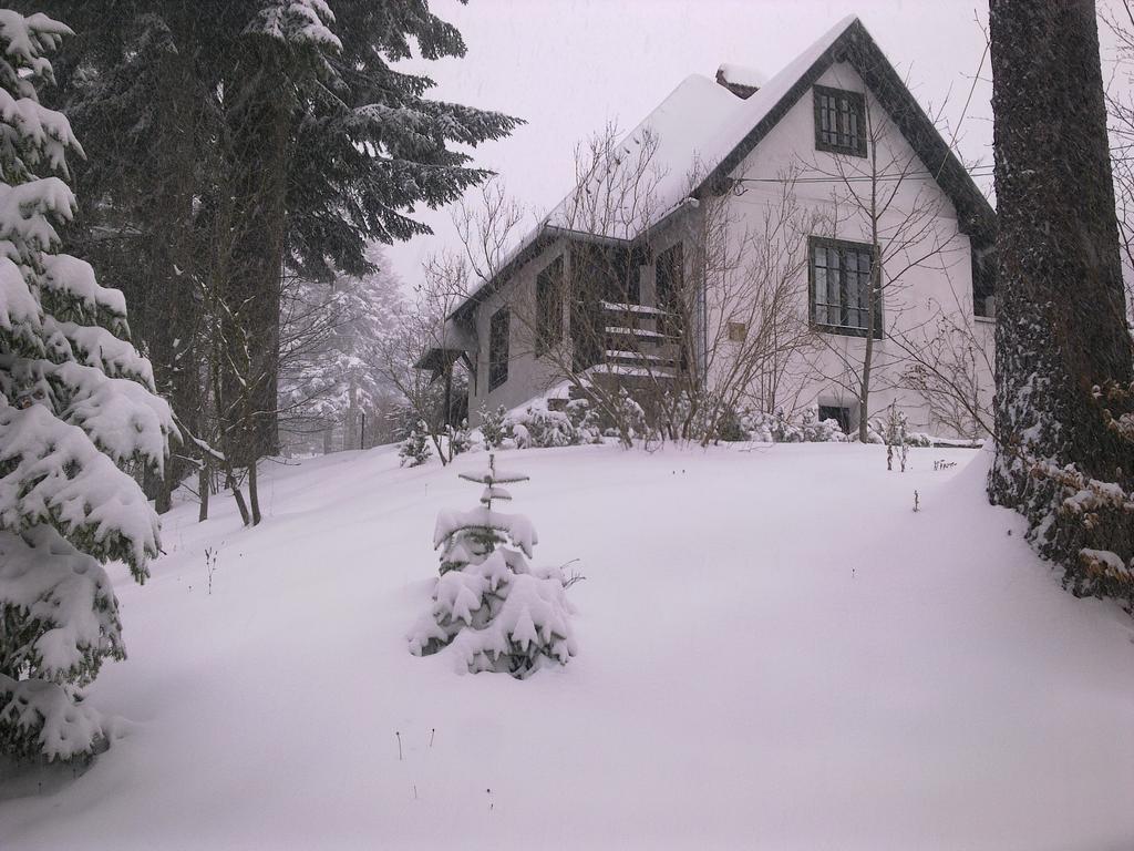 Villa Casa Gabriela Sinaia Zimmer foto